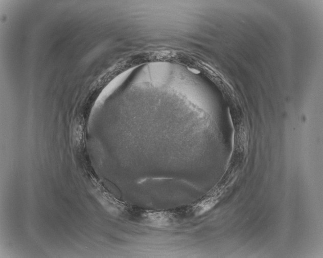 X0000081570417200702051219