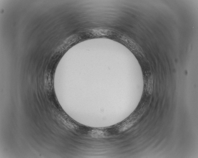 X0000081570418200702051219