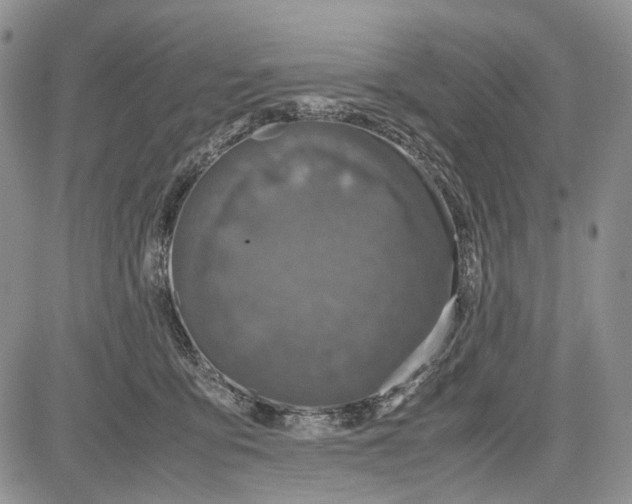 X0000081570419200702051219