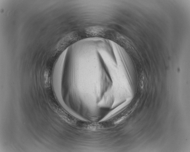 X0000081570420200702051219