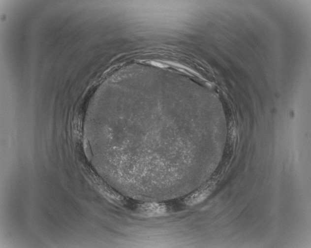 X0000081570421200702051219