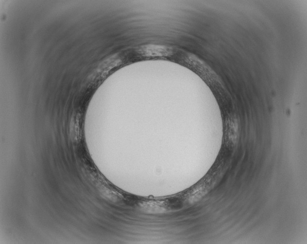 X0000081570422200702051219