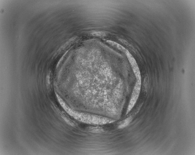 X0000081570424200702051219