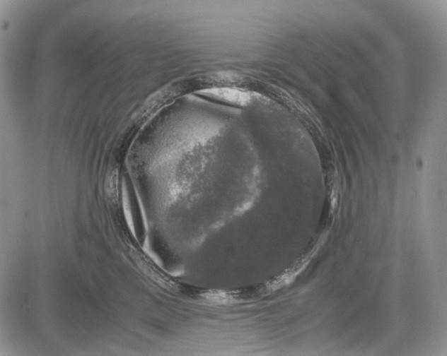 X0000081570425200702051219