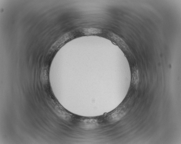 X0000081570426200702051219