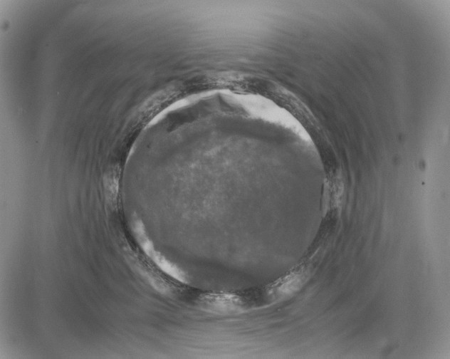 X0000081570427200702051219