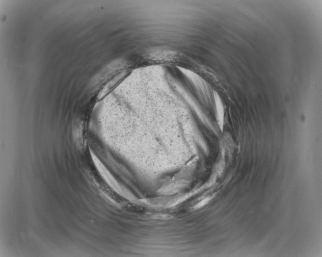 X0000081570428200702051219