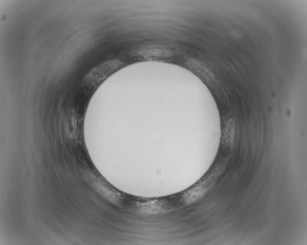 X0000081570430200702051219