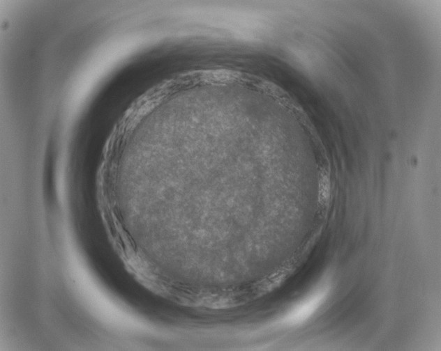 X0000081570431200702051219