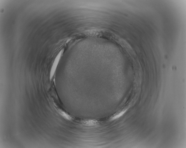 X0000081570432200702051219