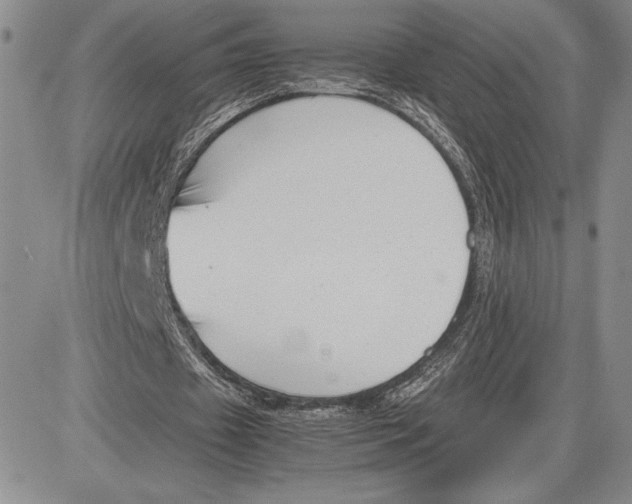 X0000081570433200702051218