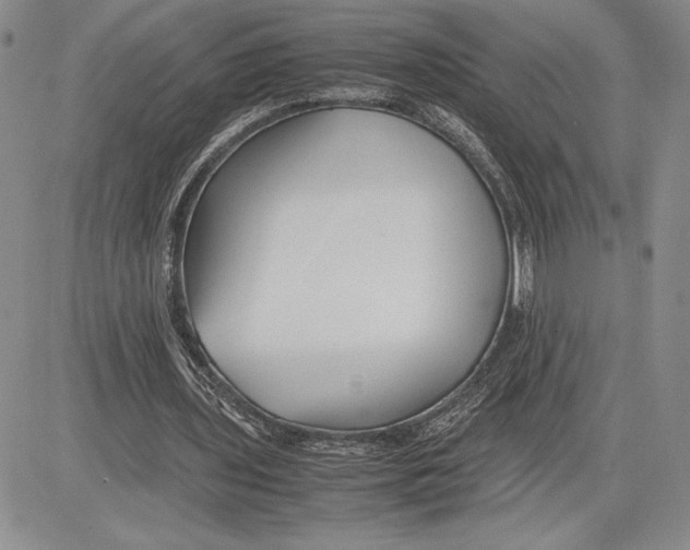 X0000081570435200702051218