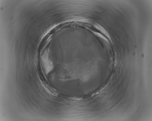 X0000081570436200702051218