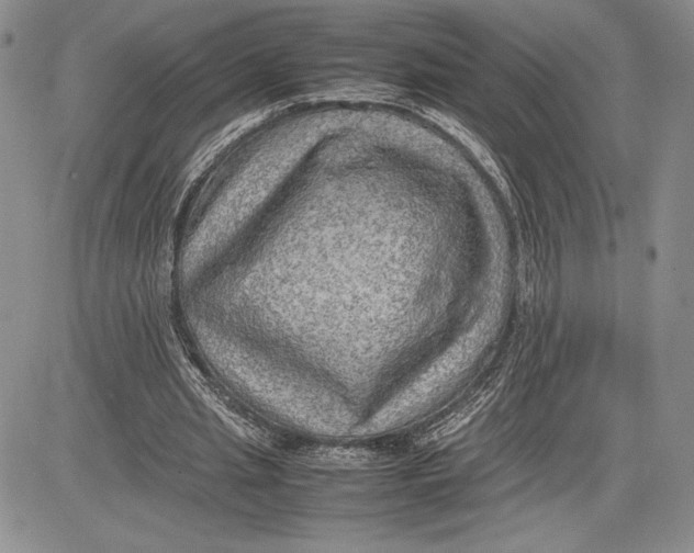 X0000081570437200702051218