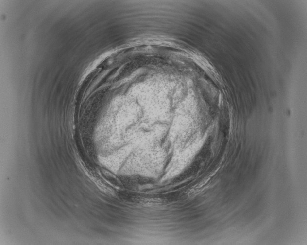 X0000081570438200702051218