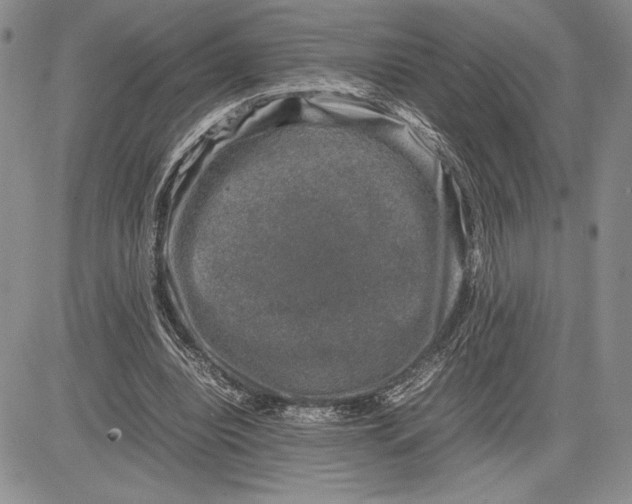 X0000081570440200702051218