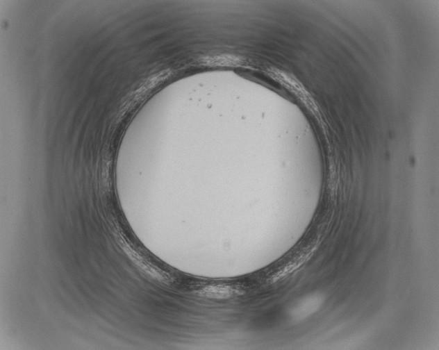 X0000081570441200702051218