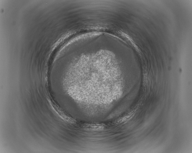 X0000081570443200702051218