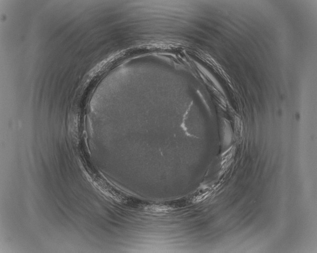 X0000081570444200702051218