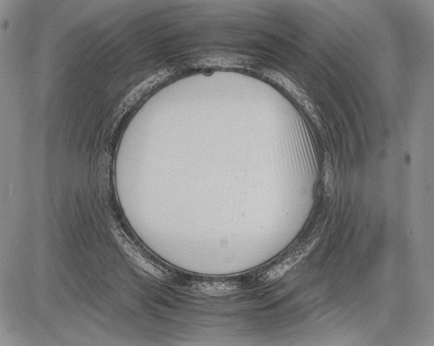 X0000081570445200702051218