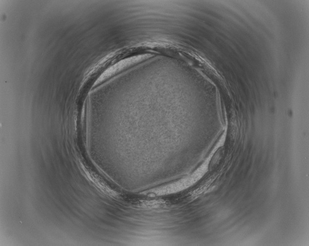 X0000081570446200702051218