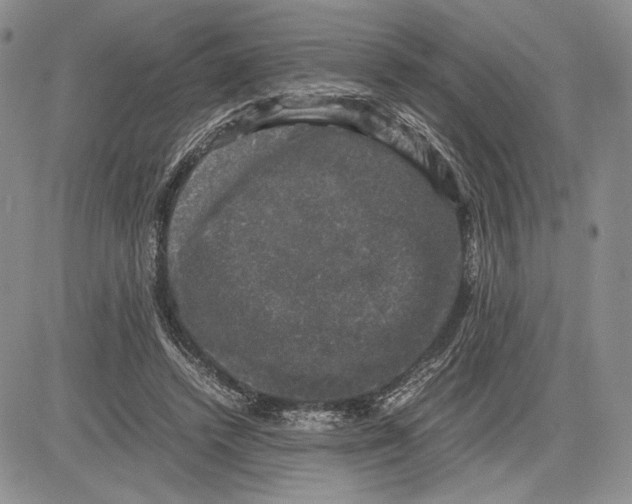 X0000081570448200702051218