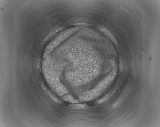 X0000081570449200702051218