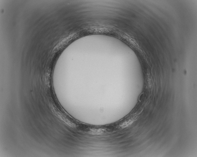 X0000081570450200702051218