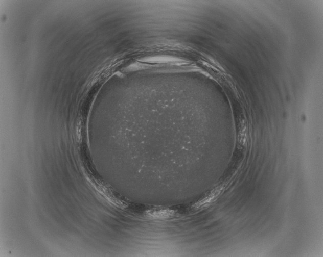 X0000081570452200702051218