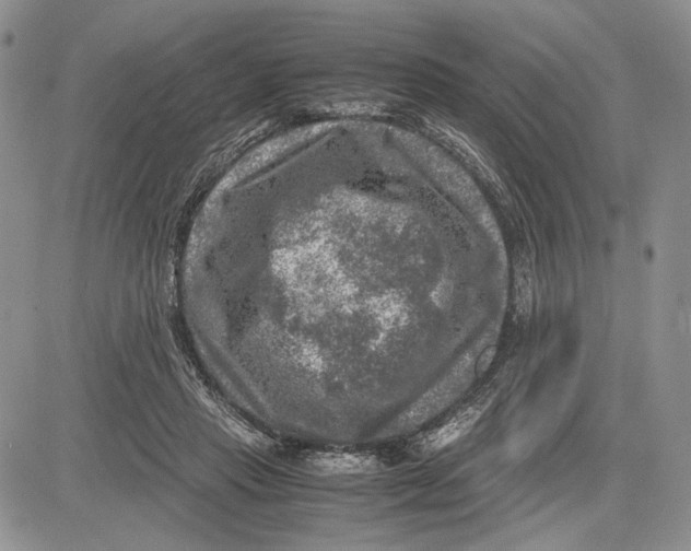 X0000081570453200702051218