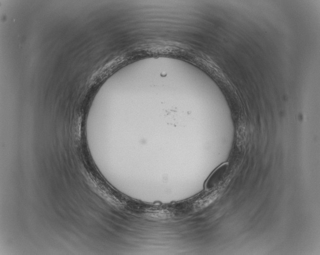 X0000081570454200702051218