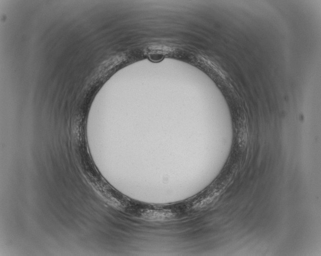 X0000081570455200702051218