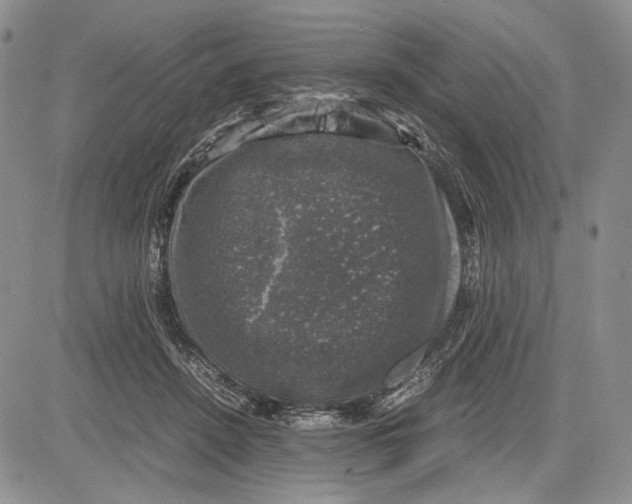 X0000081570456200702051218