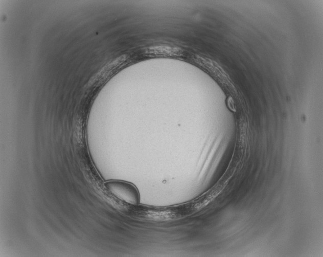 X0000081570457200702051218