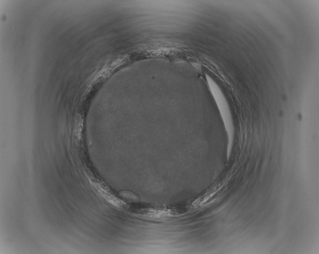 X0000081570458200702051218