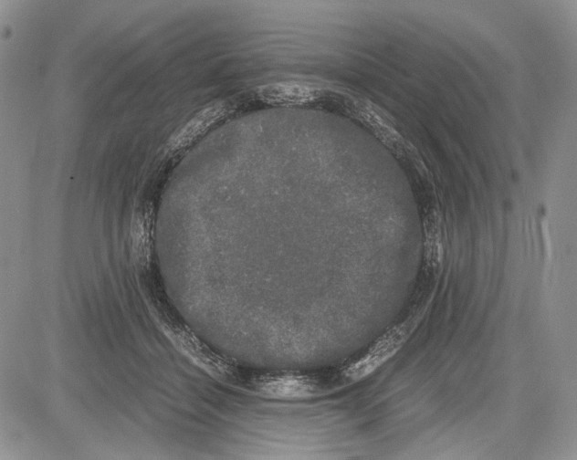 X0000081570460200702051218