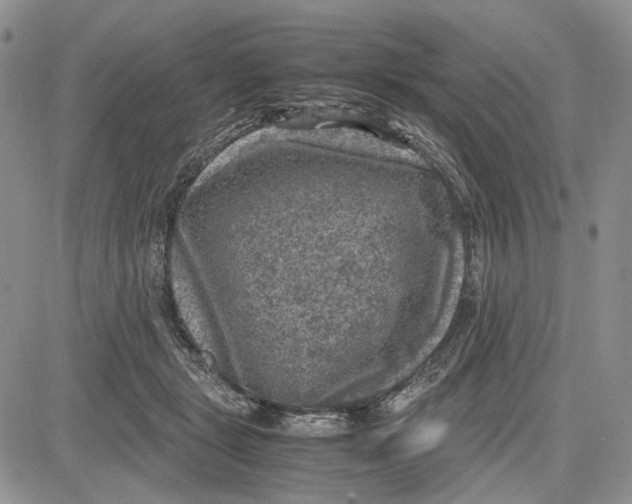 X0000081570461200702051218