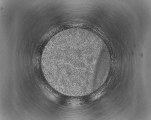 X0000081570462200702051218