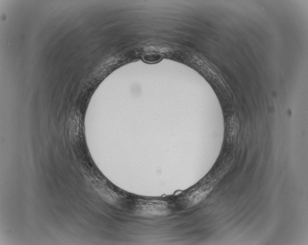 X0000081570463200702051218