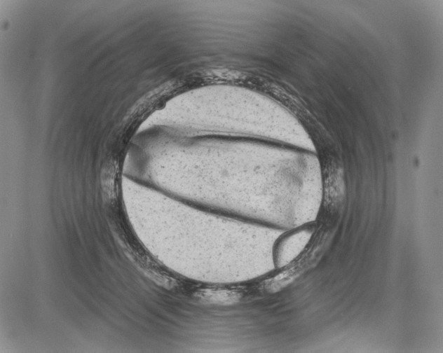 X0000081570464200702051218