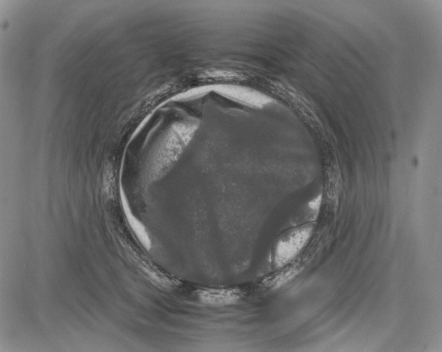 X0000081570465200702051218