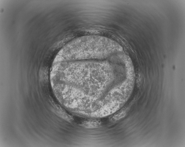 X0000081570466200702051218