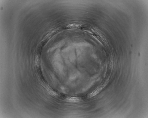 X0000081570467200702051218