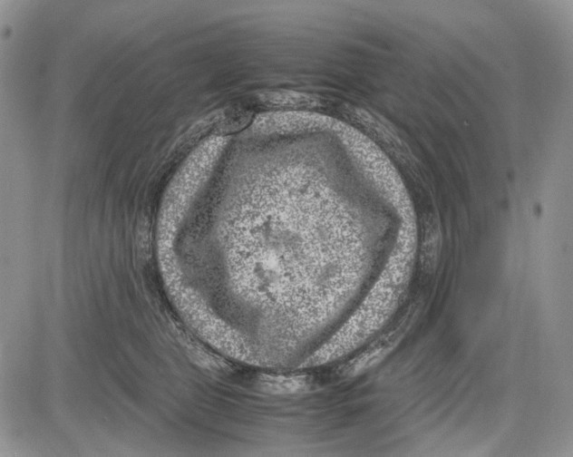 X0000081570469200702051218