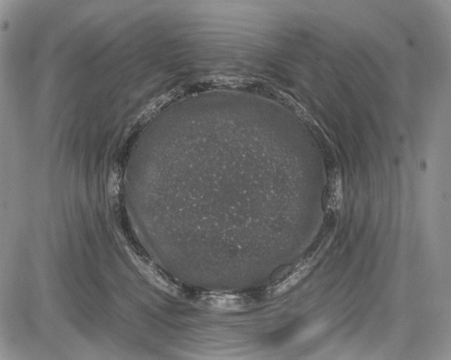 X0000081570472200702051219