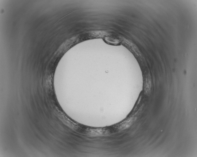 X0000081570473200702051219