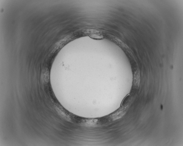 X0000081570474200702051219