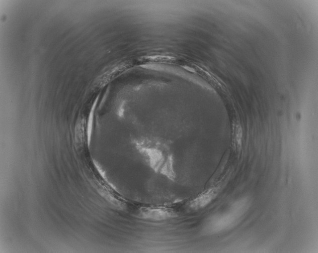 X0000081570475200702051219