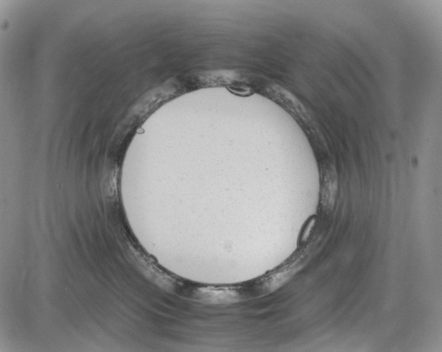 X0000081570477200702051219