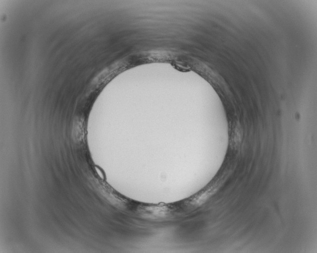 X0000081570478200702051219